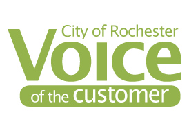 Voice of the Customer 2011